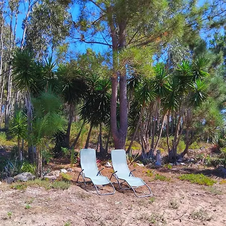 Sea Breeze בית נופש Salir de Porto